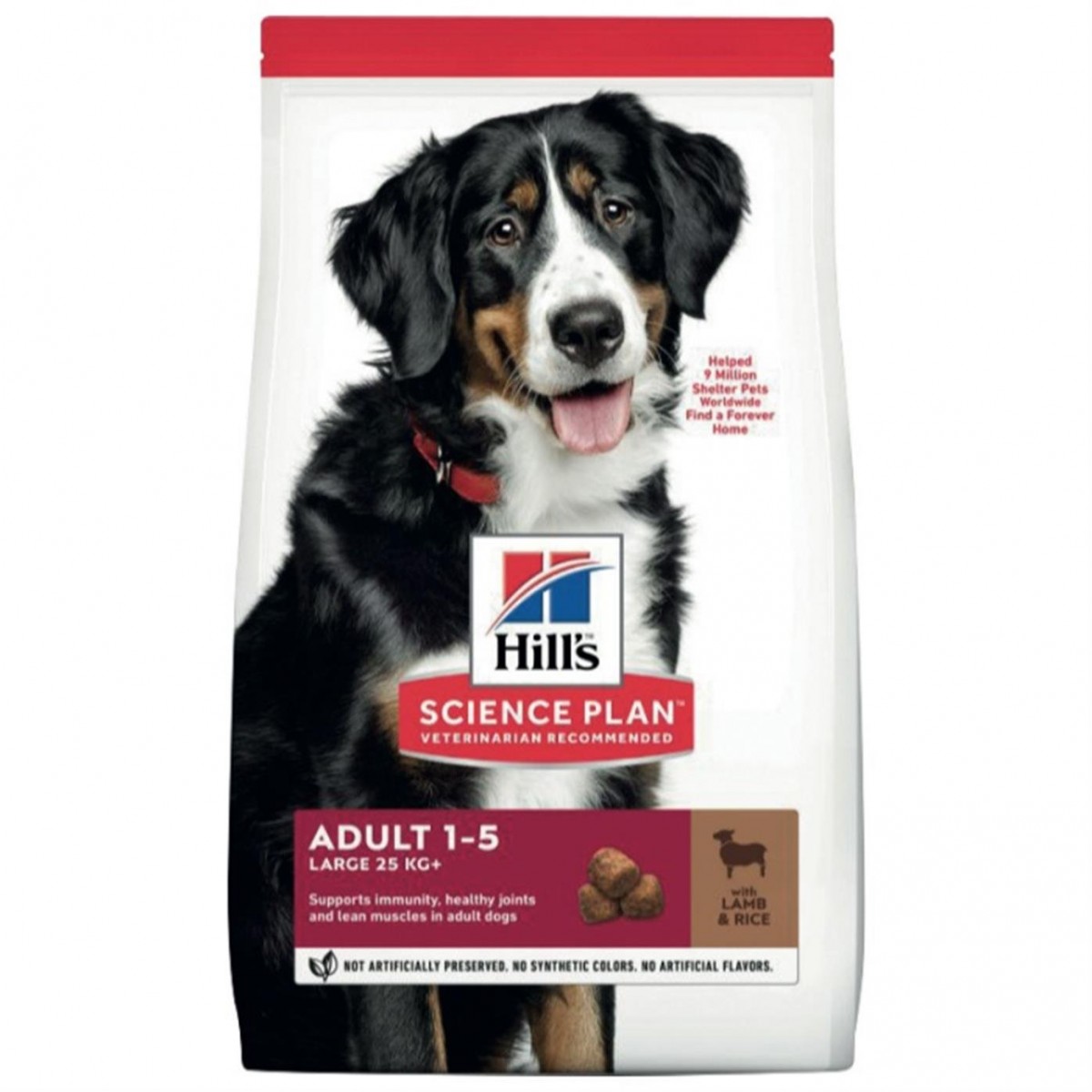 Hill's SP Kuzulu ve Pirinçli Büyük Irk Yetişkin Köpek Maması 12+2KG