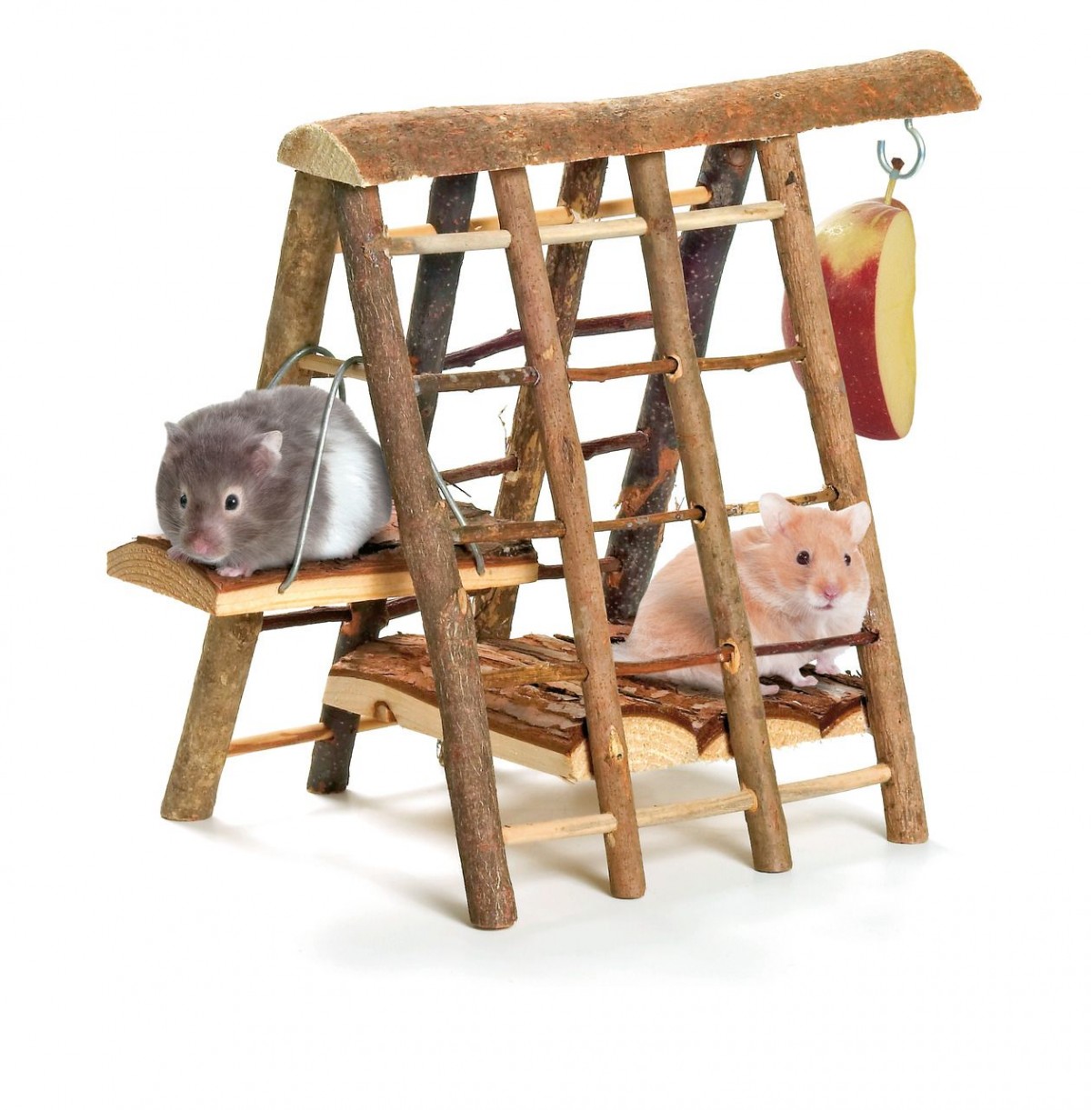 Karlıe Ahşap Kemirgen Tırmanma 29x19x23cm