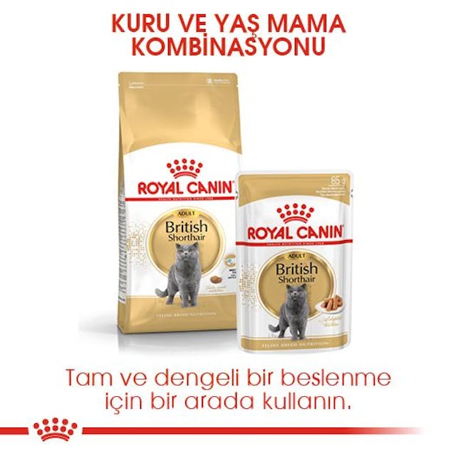 Royal Canin British Shorthair Yetişkin Kedi Maması 2 Kg