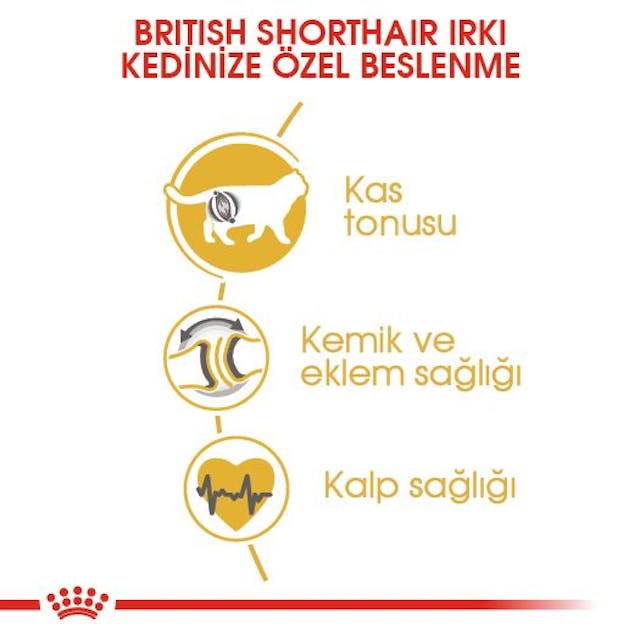 Royal Canin British Shorthair Yetişkin Kedi Maması 4 Kg