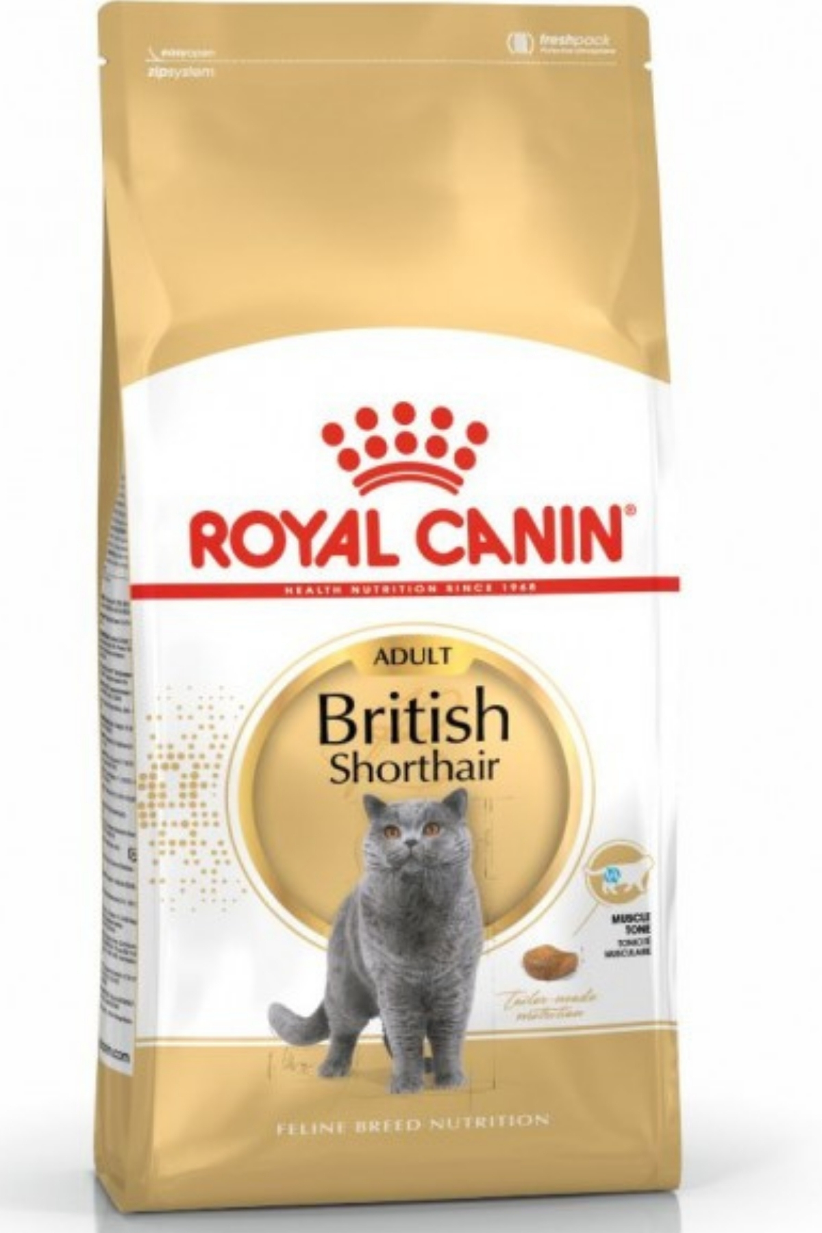 Royal Canin British Shorthair Yetişkin Kedi Maması 10 Kg Royal Canin British Shorthair Yetişkin Kedi Maması 10 Kg