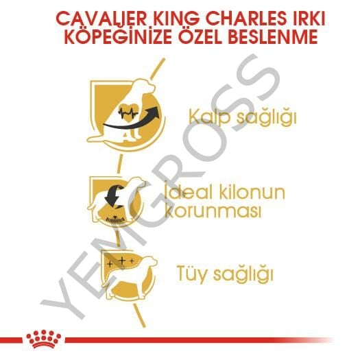 Royal Canin Cavalier King Charles Yetişkin Köpek Maması 3 Kg