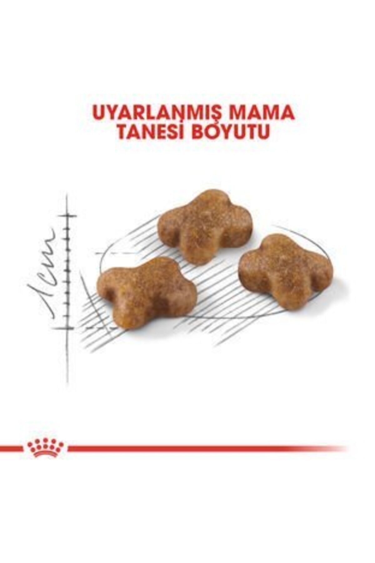 Royal Canin Kitten Yavru Kedi Maması 4 Kg Royal Canin Kitten Yavru Kedi Maması 4 Kg