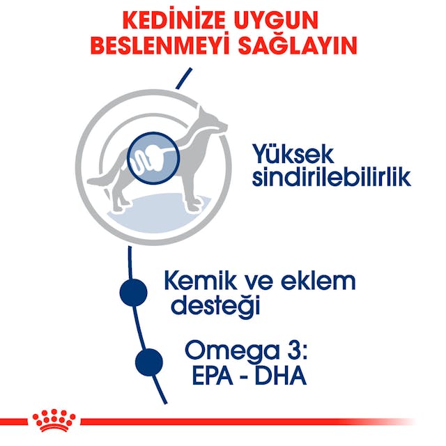 Royal Canin Maxi Adult Büyük Irklar için Yaş Köpek Maması 140 Gr