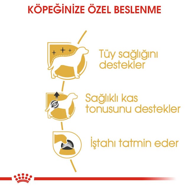 Royal Canin Poodle Yaş Köpek Maması 85 Gr