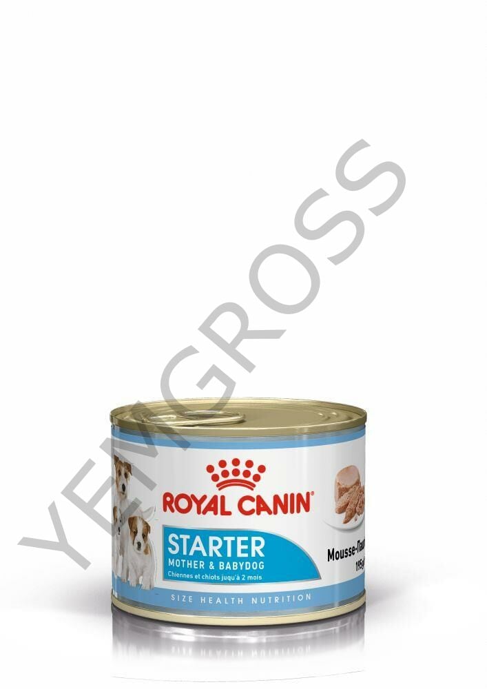 Royal Canin Starter Mousse Anne ve Yavru Köpek Konserve Maması 195 Gr