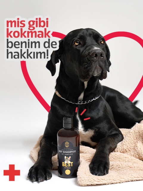 Doku Pet Sampoo 500 ml