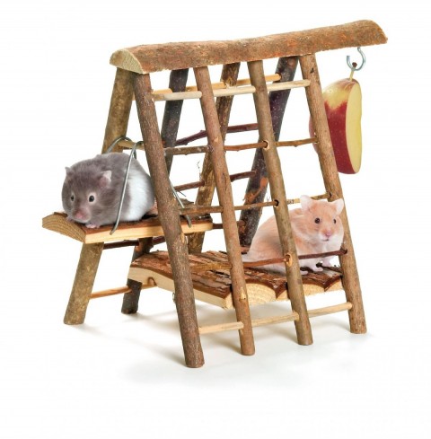 Karlıe Ahşap Kemirgen Tırmanma 29x19x23cm