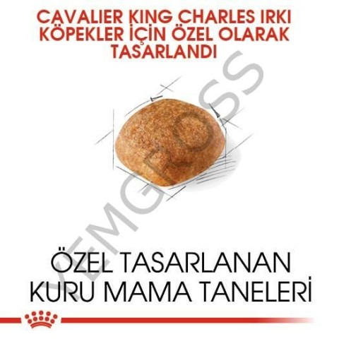 Royal Canin Cavalier King Charles Yetişkin Köpek Maması 3 Kg