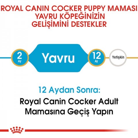 Royal Canin Cocker Puppy Yavru Köpek Maması 3 Kg