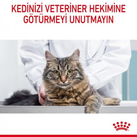 Royal Canin Hair Skin Hassas Tüylü Yetişkin Kedi Maması 2 Kg