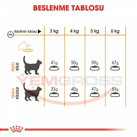 Royal Canin Hair Skin Hassas Tüylü Yetişkin Kedi Maması 4 Kg