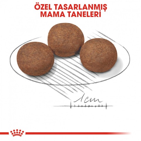 Royal Canin Medium Puppy Orta Irk Yavru Köpek Maması 15 Kg