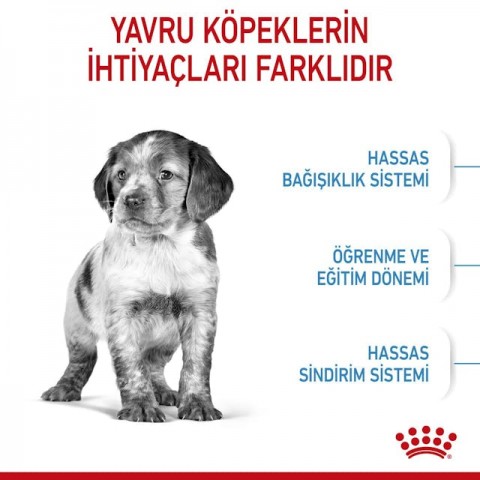 Royal Canin Medium Puppy Orta Irk Yavru Köpek Maması 4 Kg
