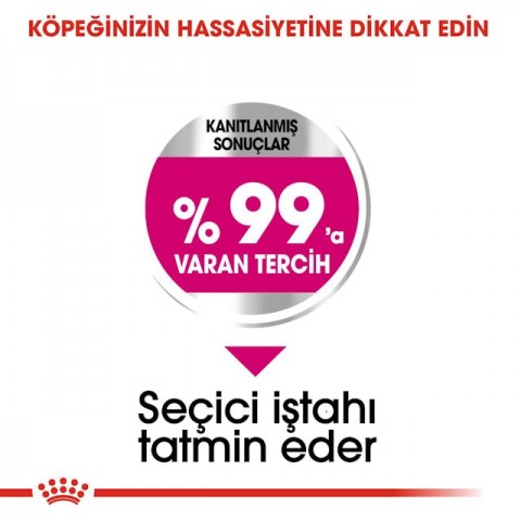 Royal Canin Mini Exigent  Küçük Irk Yetişkin Köpek Maması 3 Kg