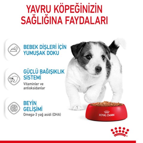 Royal Canin Mini Puppy Küçük Irk Yavru Köpek Yaş Maması 85 Gr
