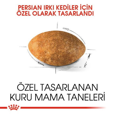 Royal Canin Persian Adult Yetişkin Kedi Maması 2 Kg