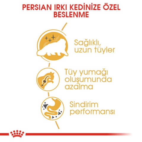 Royal Canin Persian Adult Yetişkin Kedi Maması 2 Kg