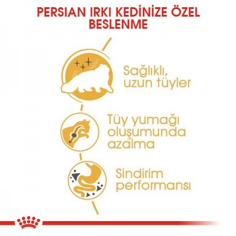 Royal Canin Persian Adult Yetişkin Kedi Maması 4 Kg