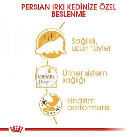 Royal Canin Persian Yaş Kedi Maması 85 Gr