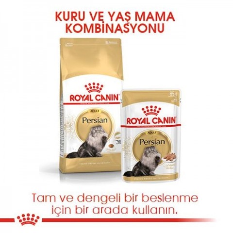 Royal Canin Persian Yaş Kedi Maması 85 Gr