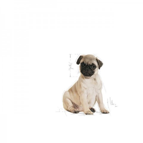 Royal Canin Pug Puppy Yavru Köpek Maması 1,5 Kg