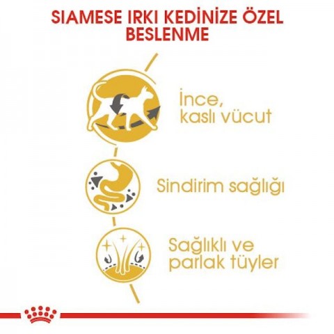 Royal Canin Siamese Siyam Kedi Maması 2 Kg